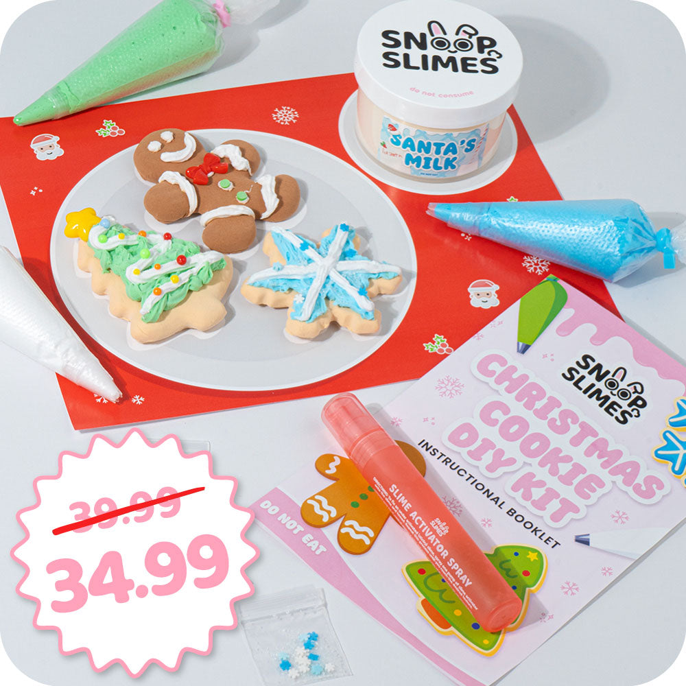 Christmas Cookie DIY Slime Kit